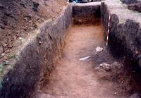 Cronica Cercetărilor Arheologice din România, Campania 2005. Raportul nr. 88