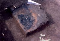 Cronica Cercetărilor Arheologice din România, Campania 2005. Raportul nr. 88