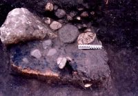 Cronica Cercetărilor Arheologice din România, Campania 2005. Raportul nr. 88