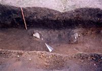 Cronica Cercetărilor Arheologice din România, Campania 2005. Raportul nr. 88