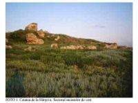 Cronica Cercetărilor Arheologice din România, Campania 2005. Raportul nr. 89