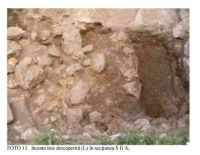 Cronica Cercetărilor Arheologice din România, Campania 2005. Raportul nr. 89
