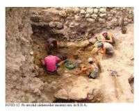 Cronica Cercetărilor Arheologice din România, Campania 2005. Raportul nr. 89