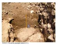 Cronica Cercetărilor Arheologice din România, Campania 2005. Raportul nr. 89