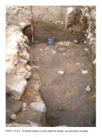 Cronica Cercetărilor Arheologice din România, Campania 2005. Raportul nr. 89