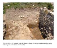 Cronica Cercetărilor Arheologice din România, Campania 2005. Raportul nr. 89