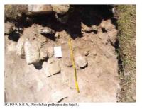 Cronica Cercetărilor Arheologice din România, Campania 2005. Raportul nr. 89