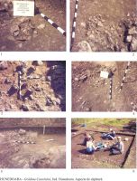 Cronica Cercetărilor Arheologice din România, Campania 2005. Raportul nr. 91