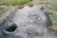 Cronica Cercetărilor Arheologice din România, Campania 2005. Raportul nr. 96