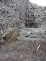 Cronica Cercetărilor Arheologice din România, Campania 2005. Raportul nr. 96