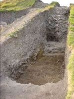 Cronica Cercetărilor Arheologice din România, Campania 2005. Raportul nr. 96