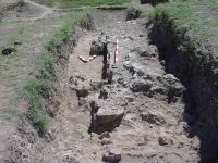 Cronica Cercetărilor Arheologice din România, Campania 2005. Raportul nr. 96