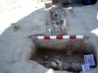 Cronica Cercetărilor Arheologice din România, Campania 2005. Raportul nr. 96