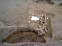 Cronica Cercetărilor Arheologice din România, Campania 2005. Raportul nr. 96