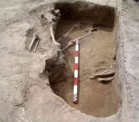 Cronica Cercetărilor Arheologice din România, Campania 2005. Raportul nr. 96