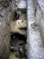 Cronica Cercetărilor Arheologice din România, Campania 2005. Raportul nr. 96