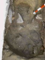 Cronica Cercetărilor Arheologice din România, Campania 2005. Raportul nr. 96