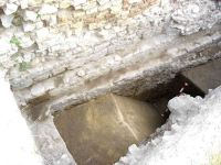 Cronica Cercetărilor Arheologice din România, Campania 2005. Raportul nr. 96