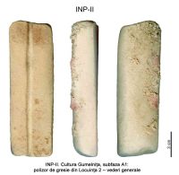 Cronica Cercetărilor Arheologice din România, Campania 2005. Raportul nr. 99