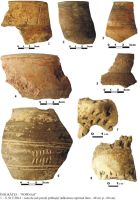 Cronica Cercetărilor Arheologice din România, Campania 2005. Raportul nr. 99