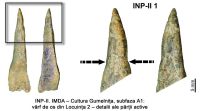 Cronica Cercetărilor Arheologice din România, Campania 2005. Raportul nr. 99