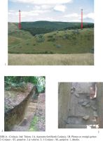 Cronica Cercetărilor Arheologice din România, Campania 2005. Raportul nr. 100