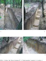 Cronica Cercetărilor Arheologice din România, Campania 2005. Raportul nr. 100