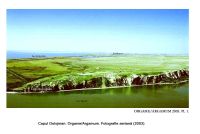 Cronica Cercetărilor Arheologice din România, Campania 2005. Raportul nr. 101
