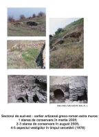 Cronica Cercetărilor Arheologice din România, Campania 2005. Raportul nr. 101