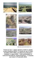 Cronica Cercetărilor Arheologice din România, Campania 2005. Raportul nr. 101