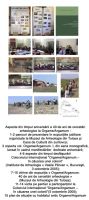 Cronica Cercetărilor Arheologice din România, Campania 2005. Raportul nr. 101