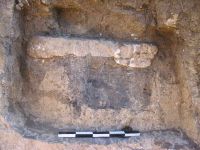 Cronica Cercetărilor Arheologice din România, Campania 2005. Raportul nr. 110
