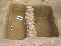 Cronica Cercetărilor Arheologice din România, Campania 2005. Raportul nr. 110