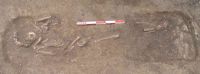 Cronica Cercetărilor Arheologice din România, Campania 2005. Raportul nr. 111