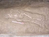 Cronica Cercetărilor Arheologice din România, Campania 2005. Raportul nr. 111