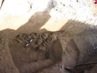 Cronica Cercetărilor Arheologice din România, Campania 2005. Raportul nr. 111