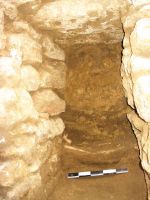 Cronica Cercetărilor Arheologice din România, Campania 2005. Raportul nr. 112