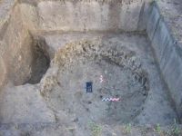 Cronica Cercetărilor Arheologice din România, Campania 2005. Raportul nr. 113
