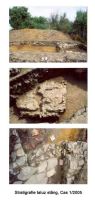 Cronica Cercetărilor Arheologice din România, Campania 2005. Raportul nr. 120