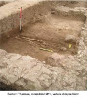 Cronica Cercetărilor Arheologice din România, Campania 2005. Raportul nr. 130