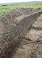 Cronica Cercetărilor Arheologice din România, Campania 2005. Raportul nr. 133