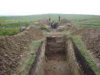 Cronica Cercetărilor Arheologice din România, Campania 2005. Raportul nr. 133