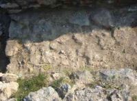 Cronica Cercetărilor Arheologice din România, Campania 2005. Raportul nr. 133