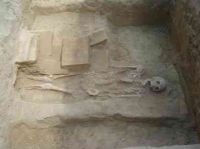 Cronica Cercetărilor Arheologice din România, Campania 2005. Raportul nr. 133