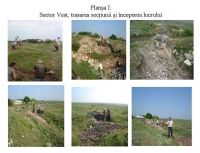 Cronica Cercetărilor Arheologice din România, Campania 2005. Raportul nr. 133