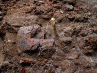 Cronica Cercetărilor Arheologice din România, Campania 2005. Raportul nr. 134