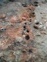 Cronica Cercetărilor Arheologice din România, Campania 2005. Raportul nr. 134