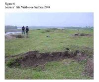 Cronica Cercetărilor Arheologice din România, Campania 2005. Raportul nr. 136