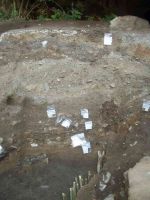 Cronica Cercetărilor Arheologice din România, Campania 2005. Raportul nr. 137
