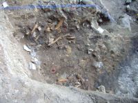 Cronica Cercetărilor Arheologice din România, Campania 2005. Raportul nr. 137